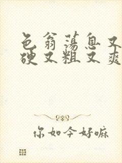 色翁荡息又大又硬又粗又爽