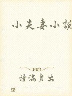 小夫妻小说