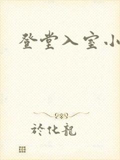 登堂入室小说