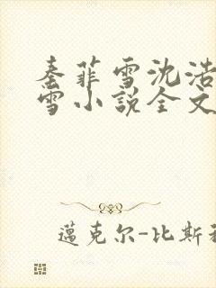 秦菲雪沈浩秦菲雪小说全文免费阅读求书