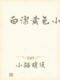 白洁黄色小说