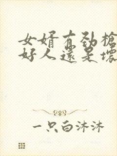 女婿有劲枪枪是好人还是坏人