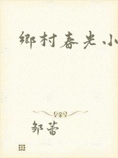 乡村春光小说