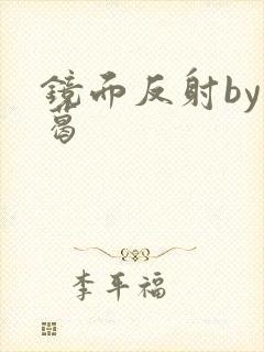 镜面反射by九葛