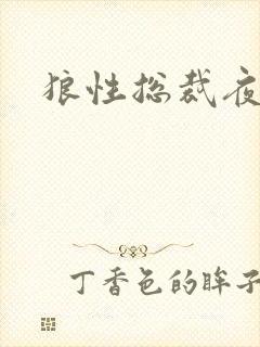 狼性总裁夜欢宠