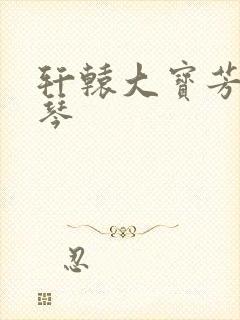 轩辕大宝芳菲雅琴