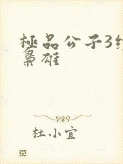 极品公子3续世枭雄