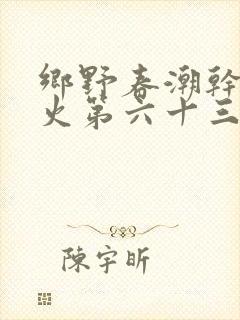 乡野春潮干柴烈火第六十三章