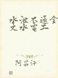 水泄不通金银原文水电工