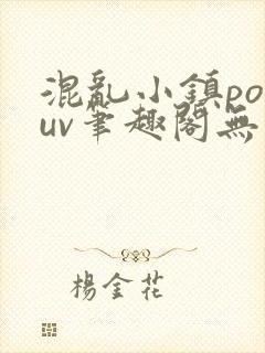 混乱小镇popuv笔趣阁无广告