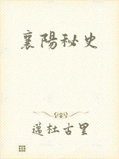 襄阳秘史