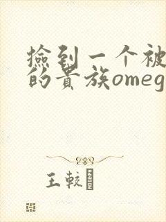 捡到一个被抹布的贵族omega