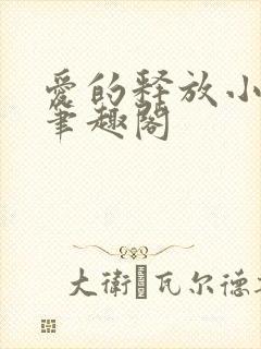 爱的释放小说 笔趣阁