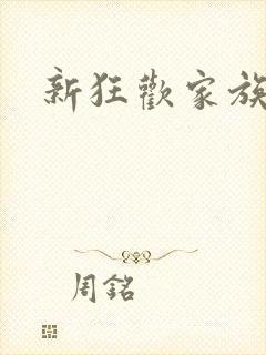 新狂欢家族小说