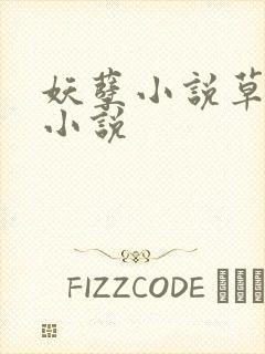 妖孽小说草莓酱小说