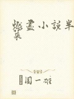 燃尽小说半截白菜