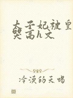 太子妃被皇上c哭高h文