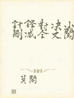 针锋对决小说未删减全文阅读