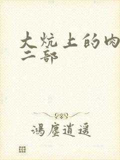 大炕上的肉伦第二部