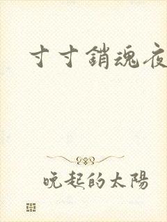 寸寸销魂夜春光