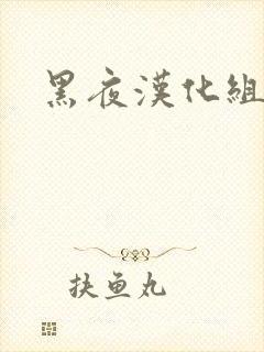 黑夜汉化组