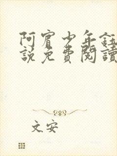 阿宾少年钰慧小说免费阅读笔趣阁