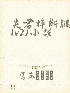 夫君摔断腿后(1v2)小说