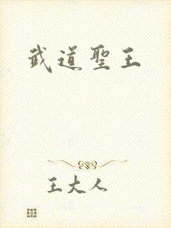 武道圣王