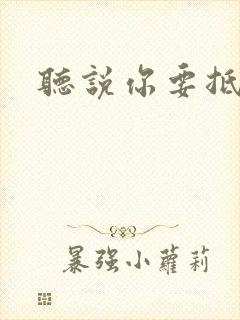 听说你要抵抗我