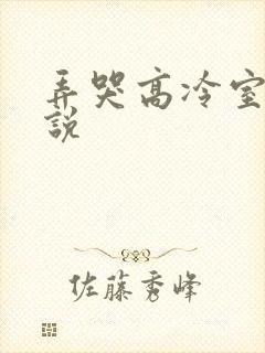 弄哭高冷室友小说