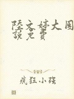 陆文婷大团圆小说免费