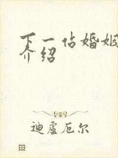 下一站婚姻剧情介绍