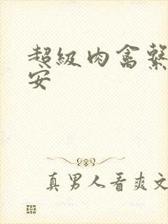 超级肉禽系统保安