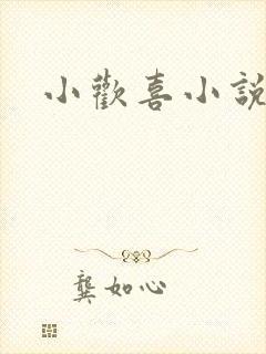 小欢喜小说