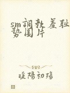 sm调教羞耻姿势图片