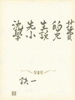 沈先生的花式教学小说免费