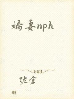 娇妻nph