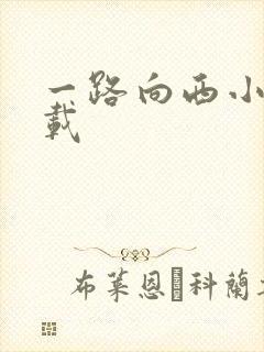 一路向西小说下载