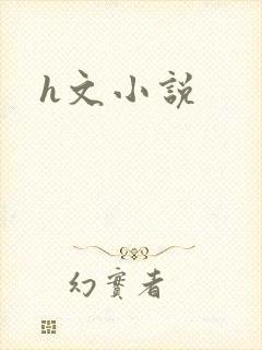 h文小说