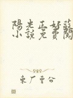 阳光正好苏玥玥小说免费阅读无弹窗