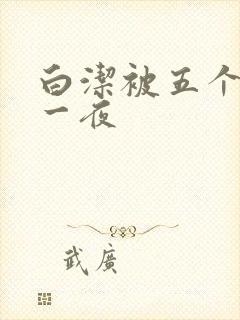 白洁被五个人玩一夜