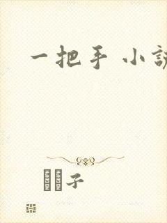 一把手 小说