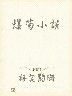爆菊小说