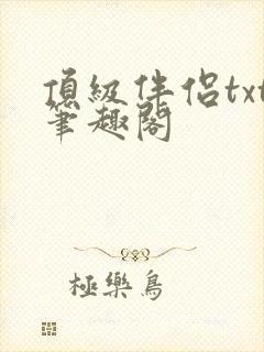 顶级伴侣txt笔趣阁