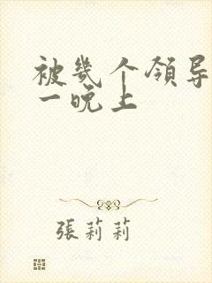 被几个领导玩弄一晚上