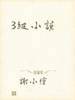 3级小说
