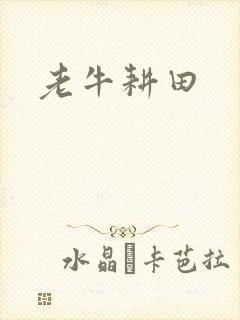 老牛耕田