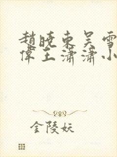 赵晓东吴雪晴郑伟王潇潇小说名字