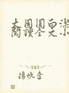 大团圆白洁免费阅读全文小说