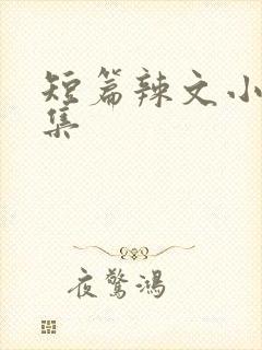 短篇辣文小说合集